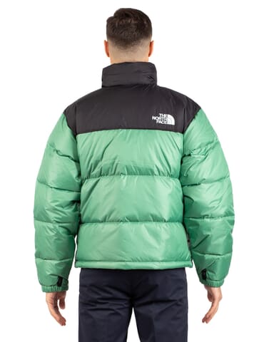 VESTE HOMME THE NORTH FACE - nf0a3c8dn1