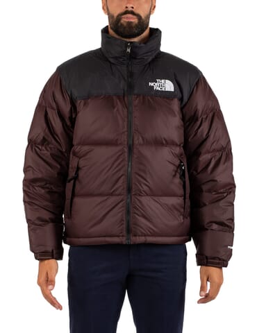 VESTE HOMME THE NORTH FACE | nf0a3c8dlo - Calabromoda