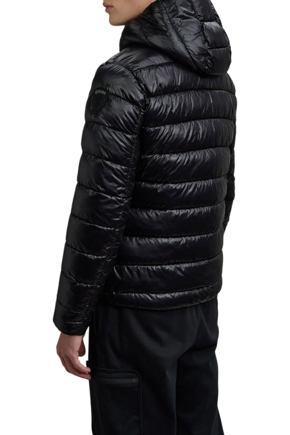 Blouson Homme Adams Blauer - bluc02079005958