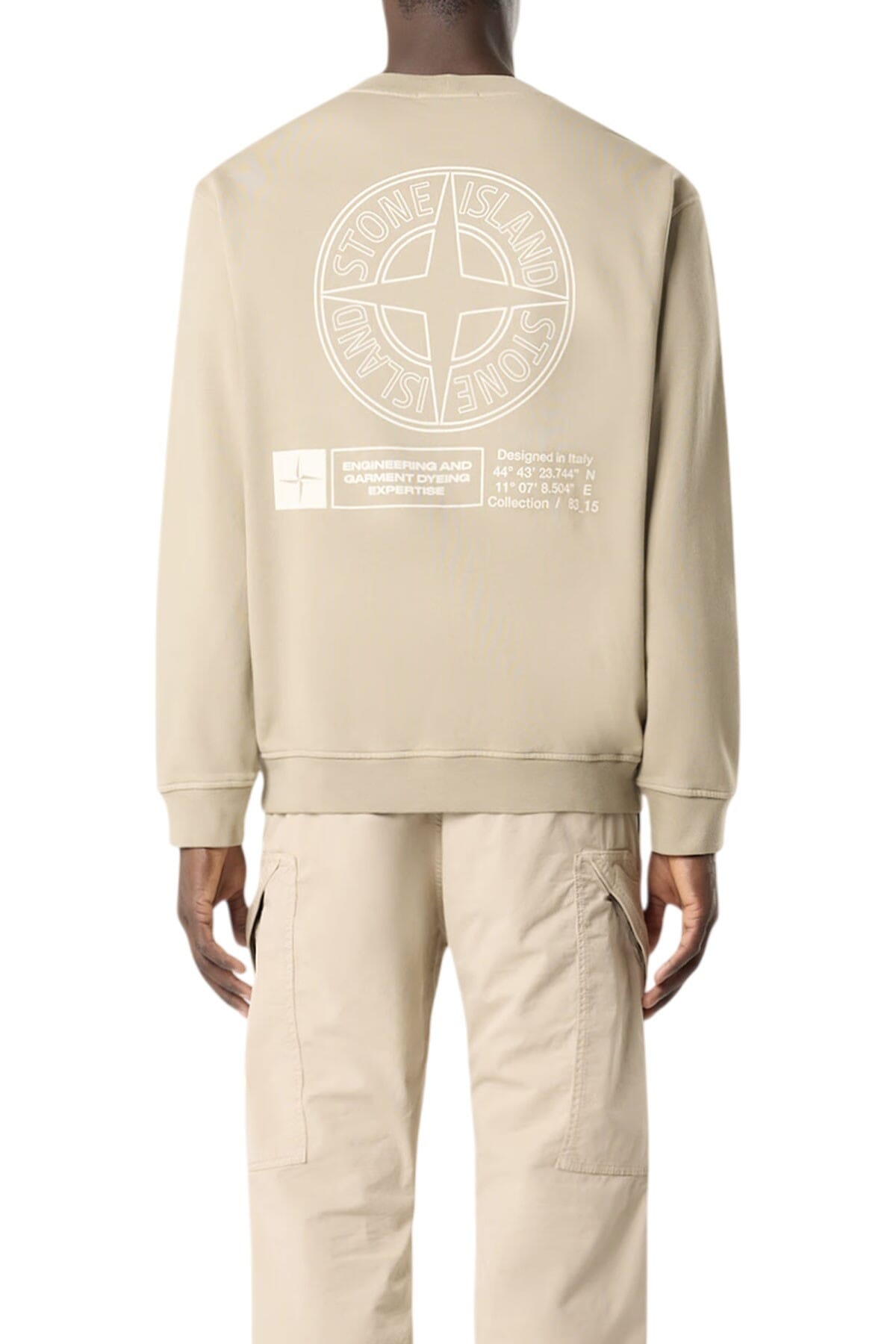 Pull Homme Stone Island - s156100018s0195