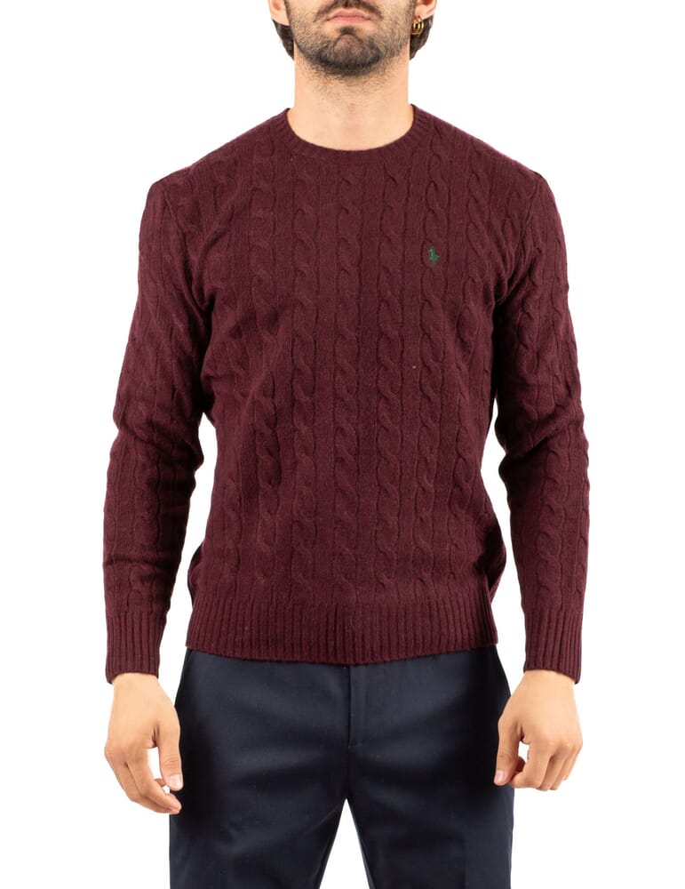 Sweater Man Ralph Lauren - 710876762 Sweater Man Ralph Lauren - 710876762