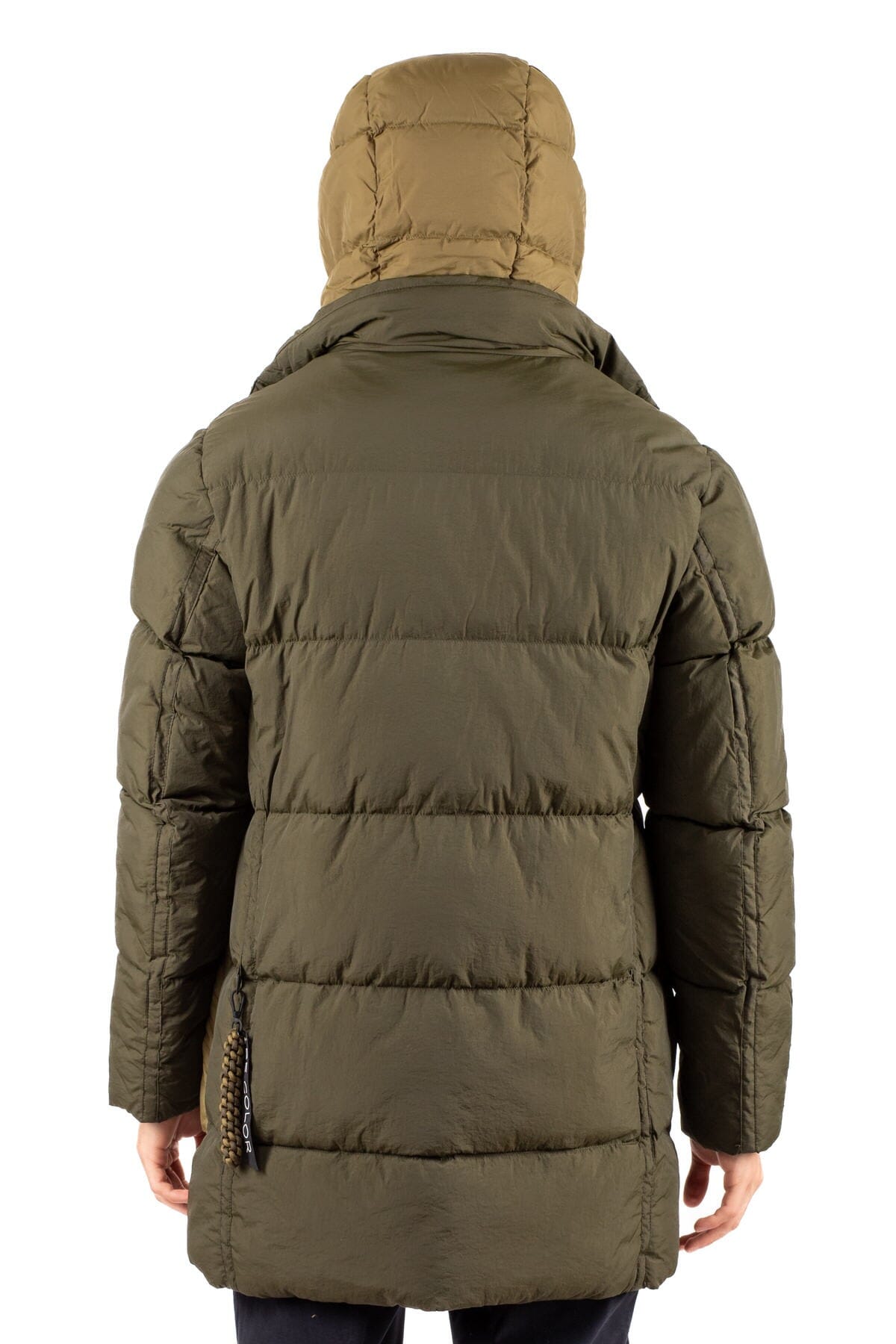 Blouson Homme Becolor - energetic