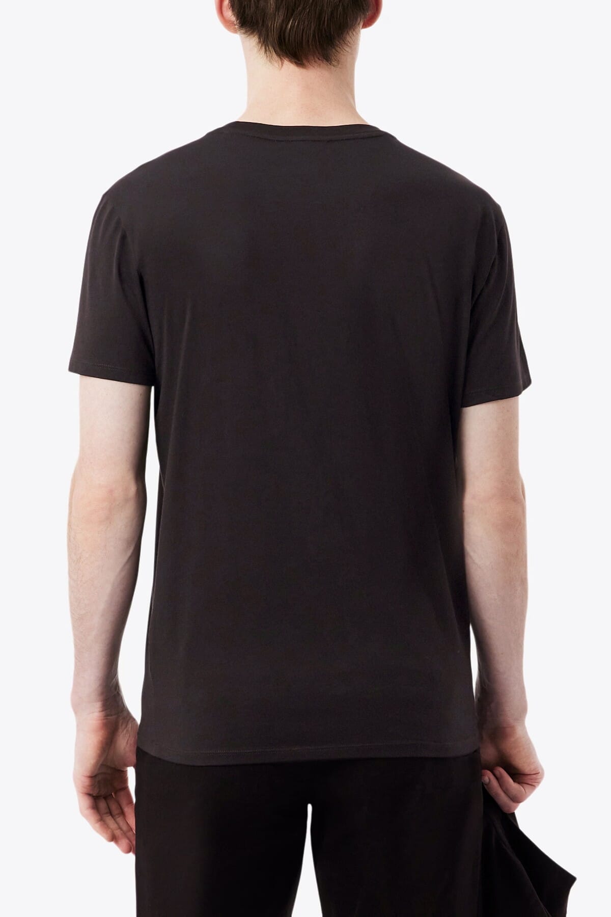 T-Shirt Uomo Lacoste