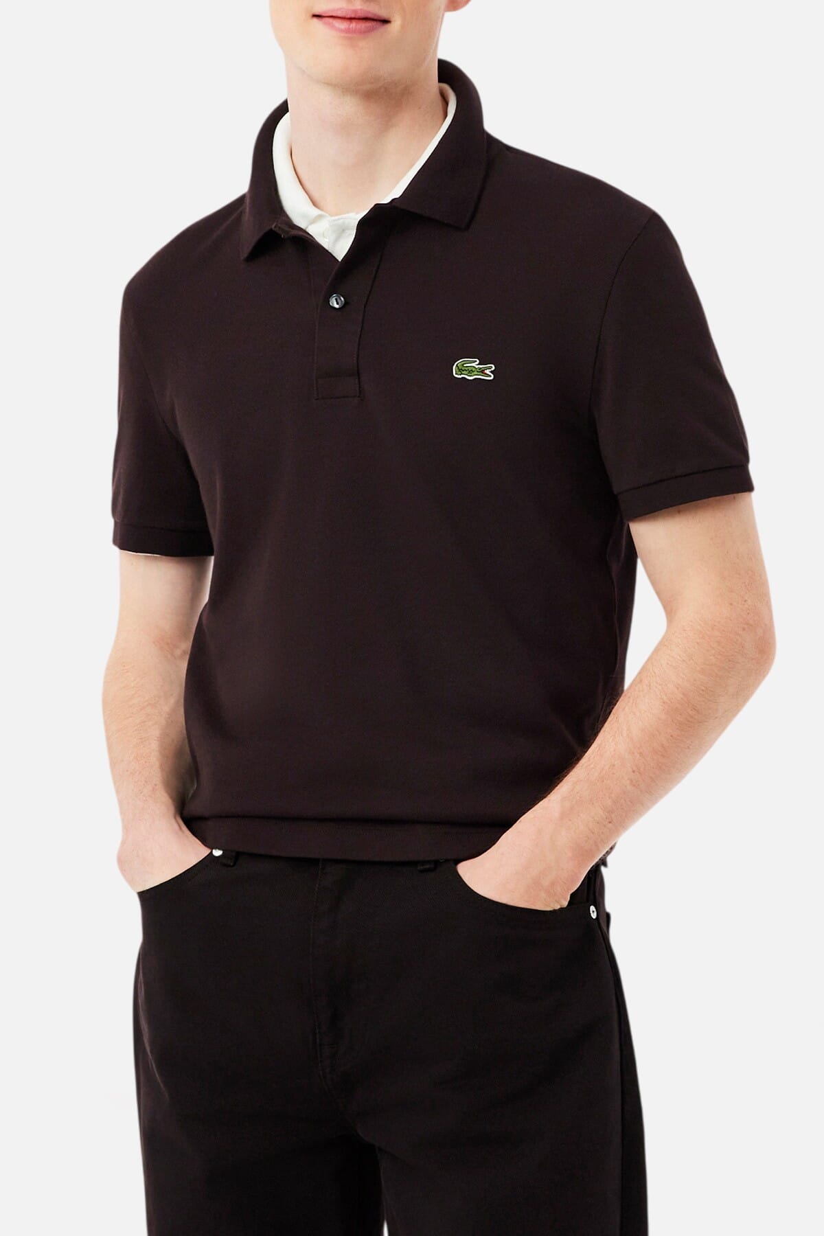 Polo Uomo Lacoste