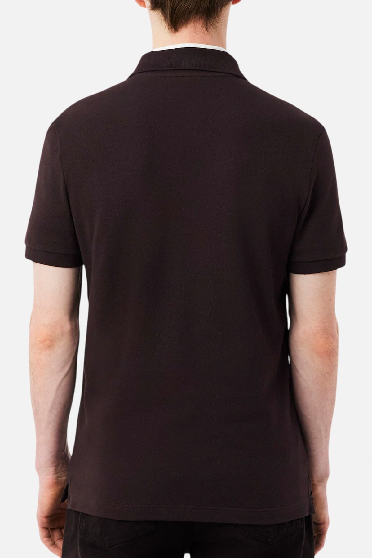 Polo Uomo Lacoste