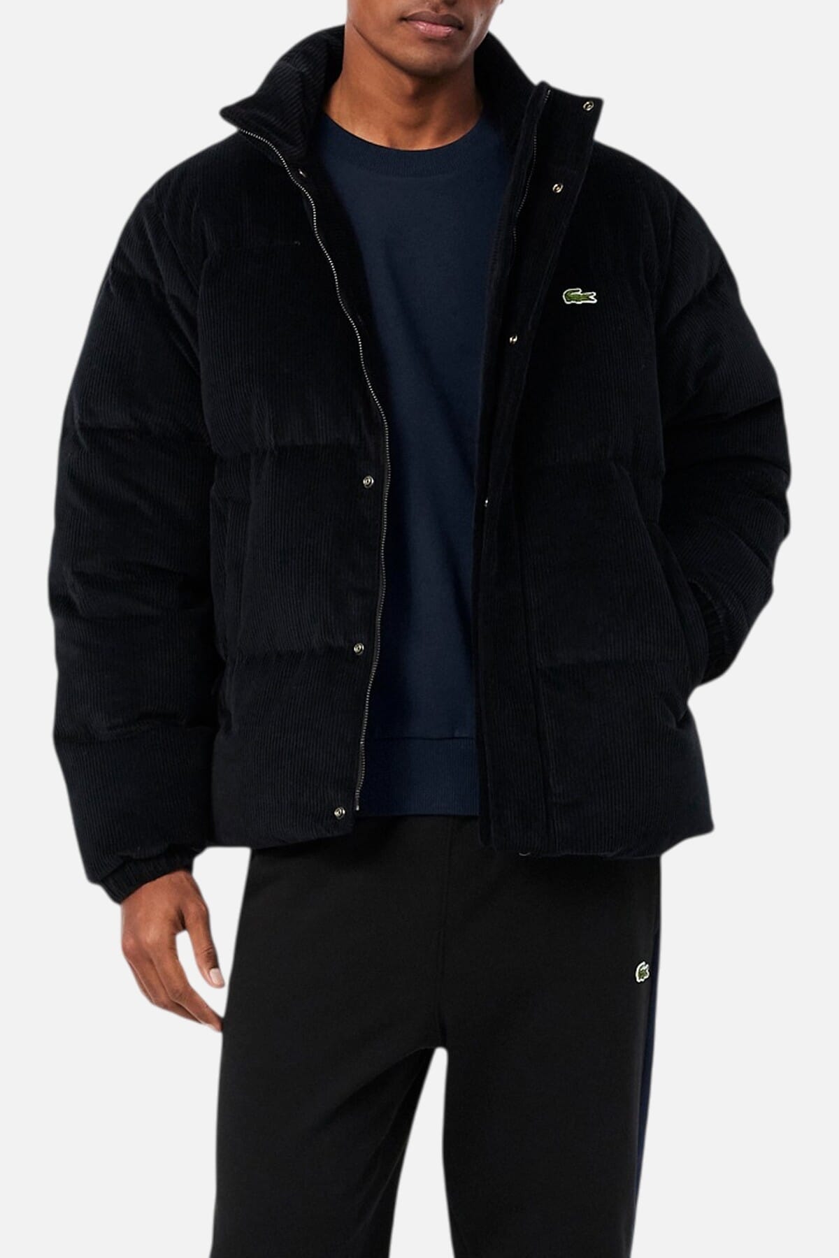 Bluza Męska Lacoste